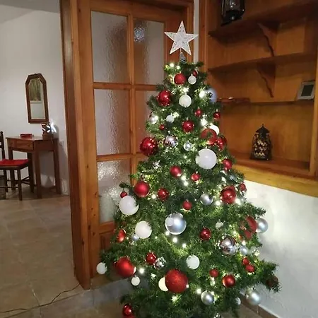 Beautiful And Comfortable House *